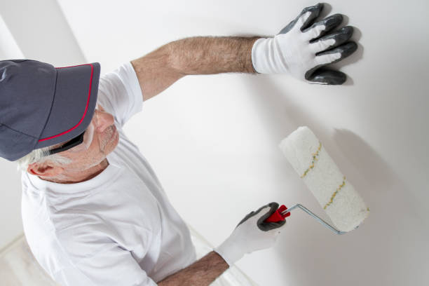 Best Post-Construction Mold Inspection  in Blountville, TN