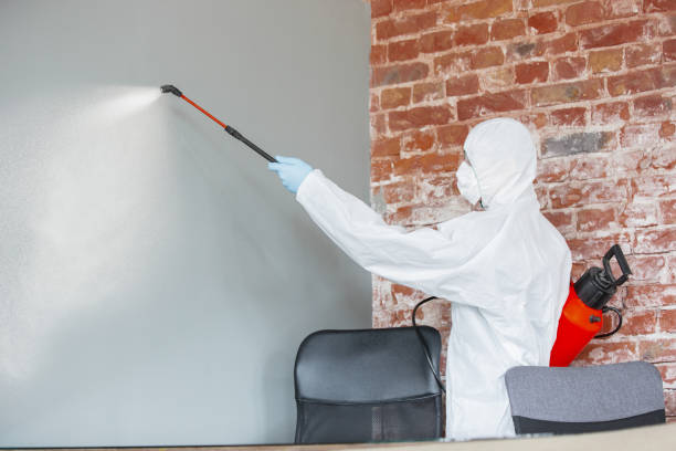 Best Crawl Space Mold Remediation  in Blountville, TN