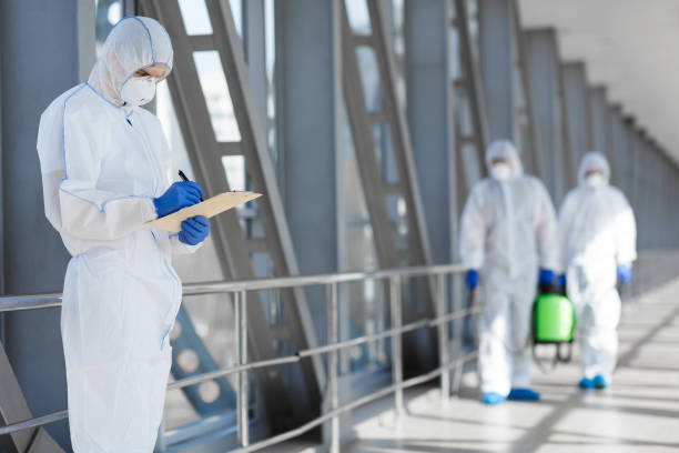 Best Emergency Mold Remediation  in Blountville, TN