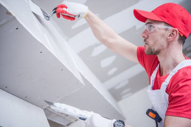 Reliable Blountville, TN Mold Removal Solutions